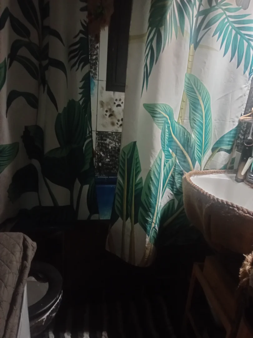 Room photo 7