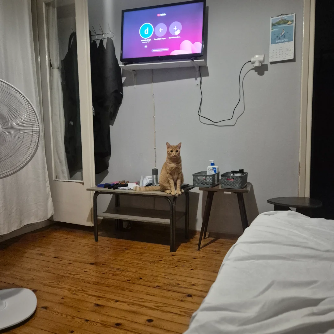 Room photo 1