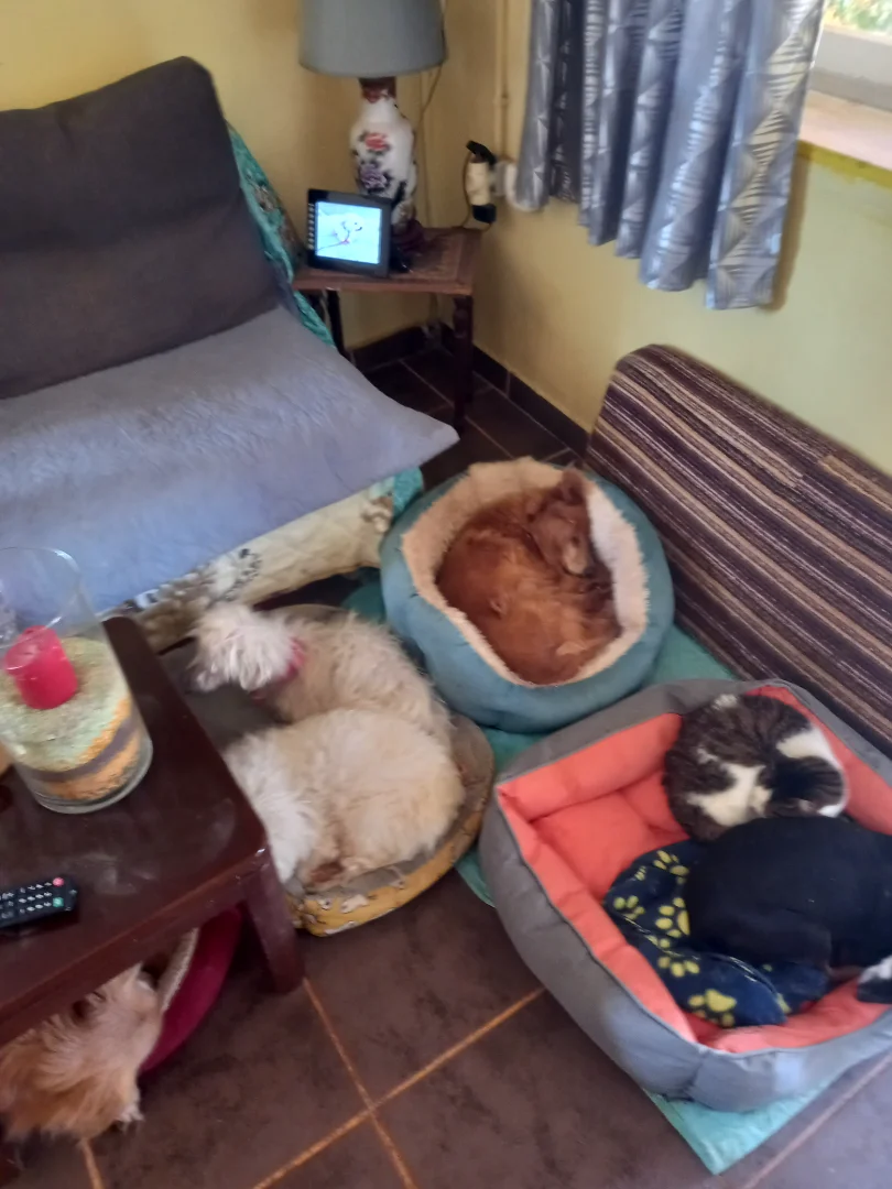 Room photo 1