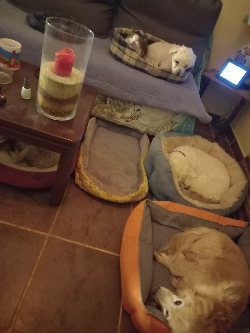 Room photo 3